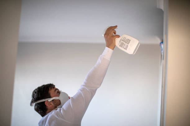 Best Mold Damage Repair  in Timberne, LA